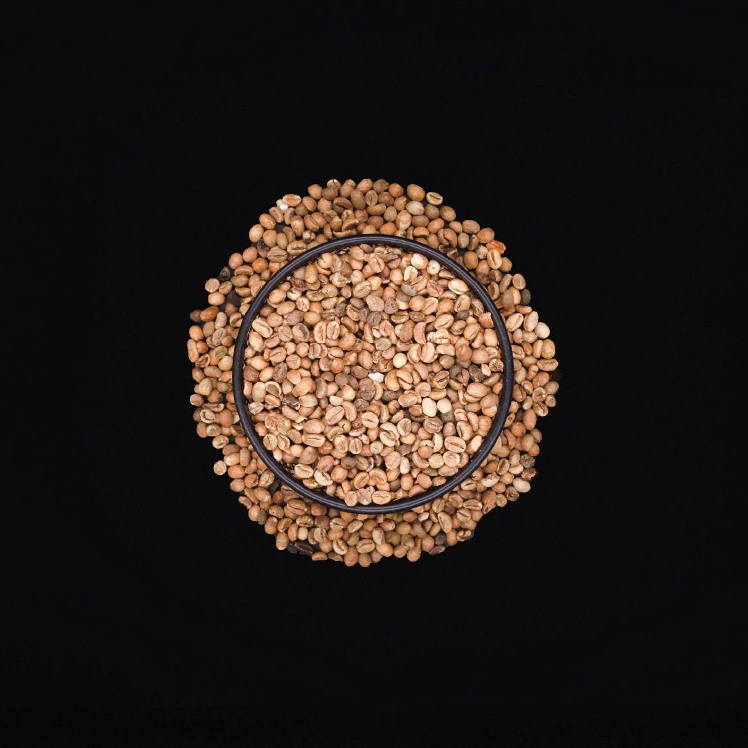 Ugandan Robusta Scr. 12